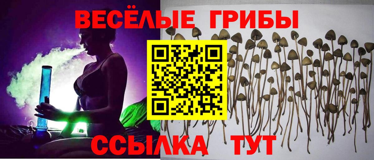 Соль-Илецк  Псилоцибиновые грибы ЛСД  Вход с VPN 
